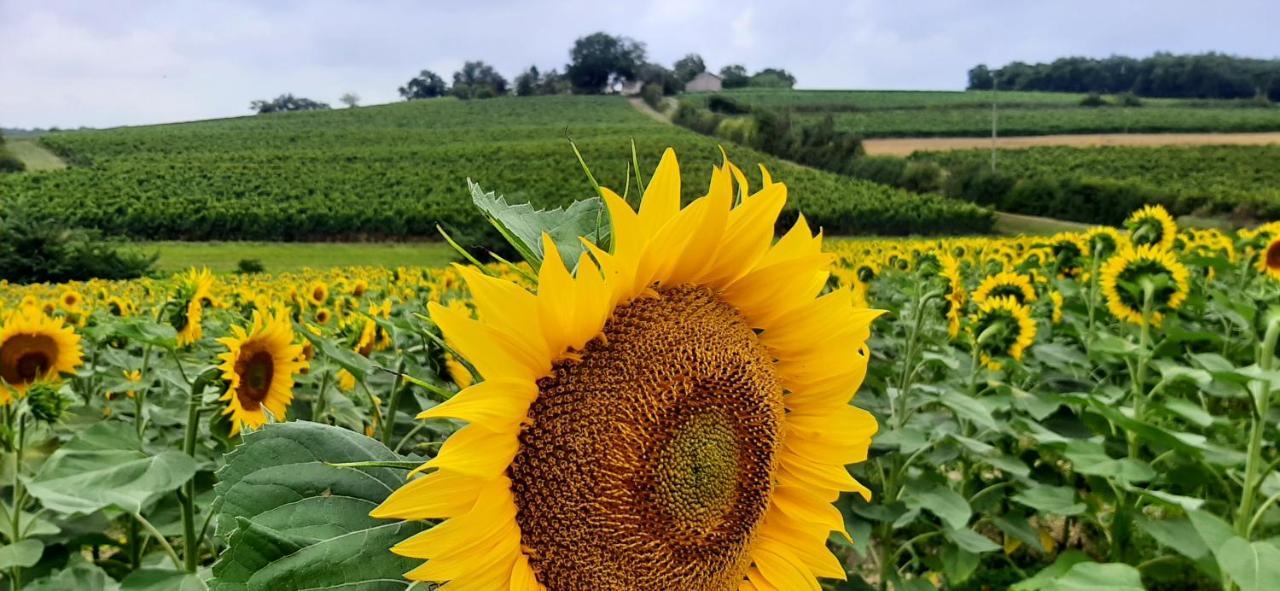 Gite - Le Moussat Lagraulet-du-Gers Esterno foto
